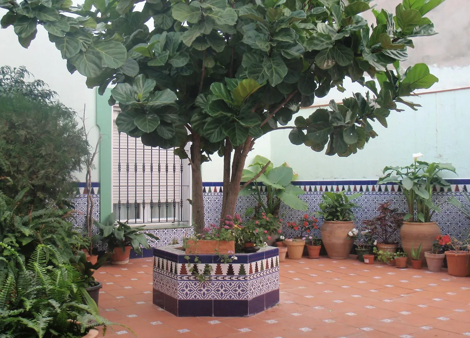 Hostal Drago Pueblo Nuevo de Guadiaro Spain